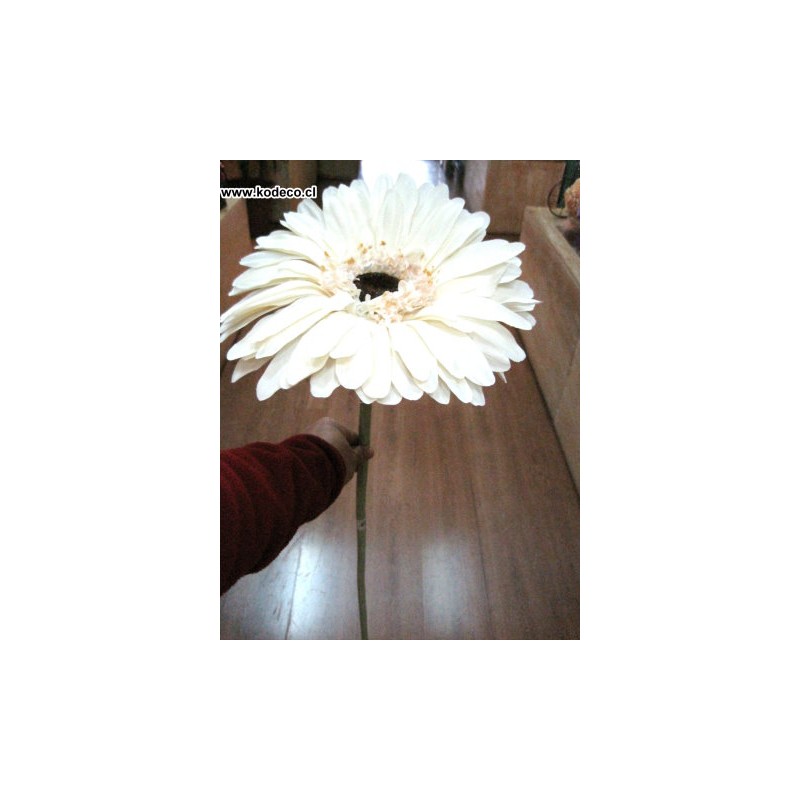 GERBERA GIGANTE KC401