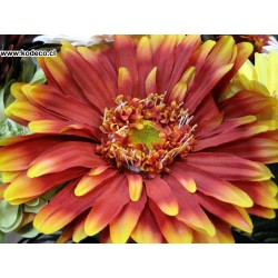 GERBERA GIGANTE KC401